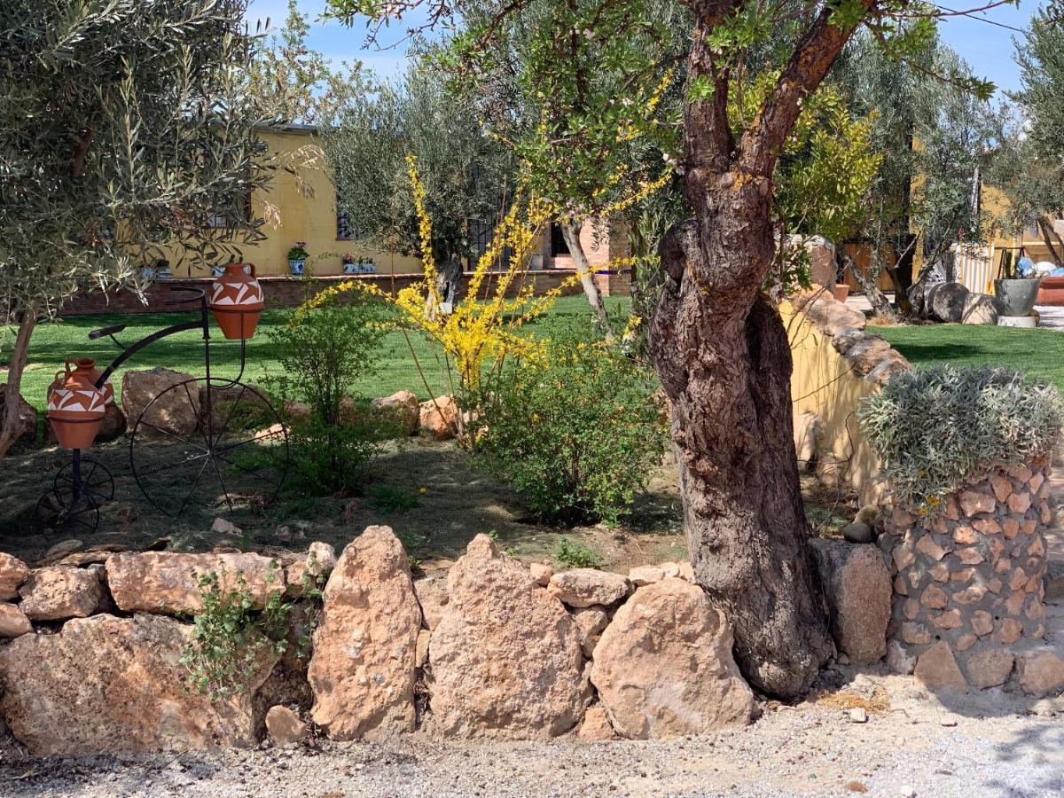 Cortijo Bustamante Guest House Baza Eksteriør bilde